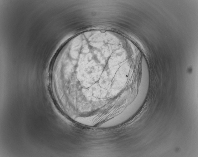 X0000116371095201001131742