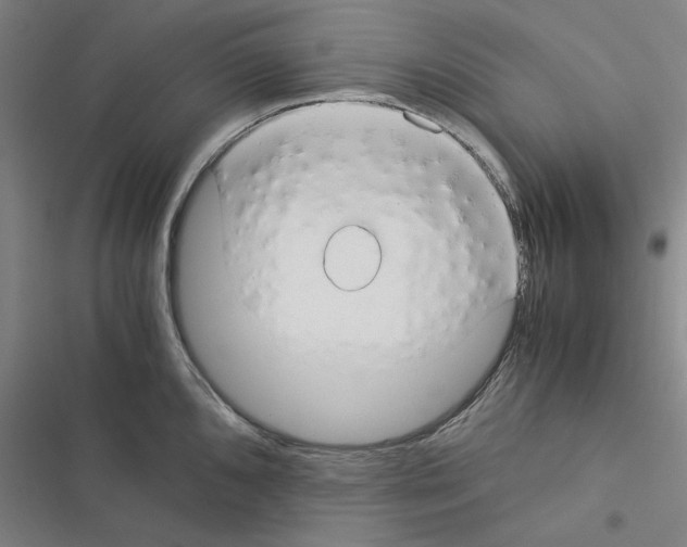 X0000116371096201001131742