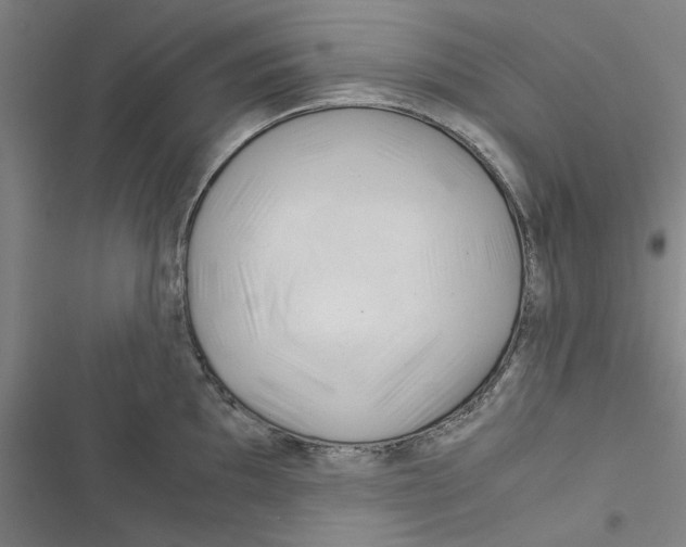 X0000116371097201001131742