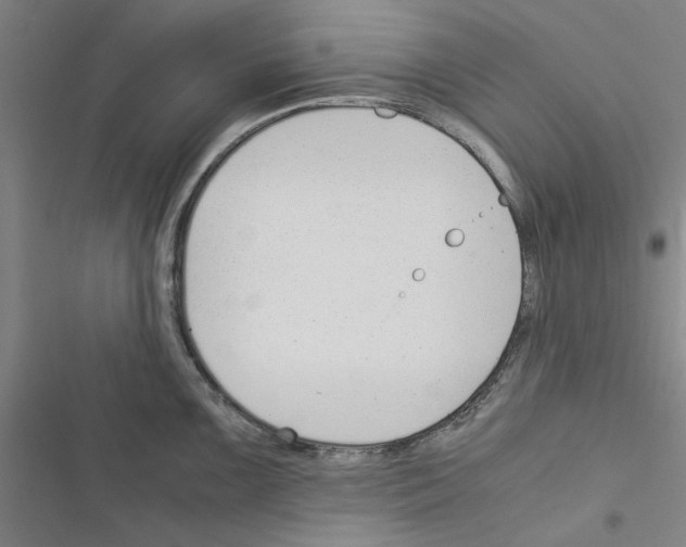 X0000116371099201001131742