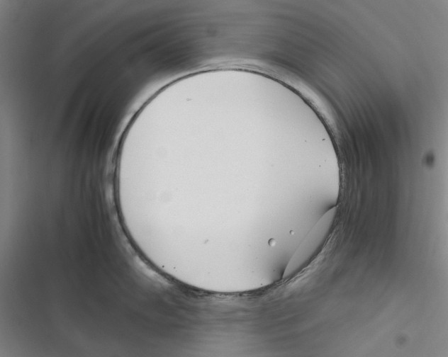 X0000116371102201001131742