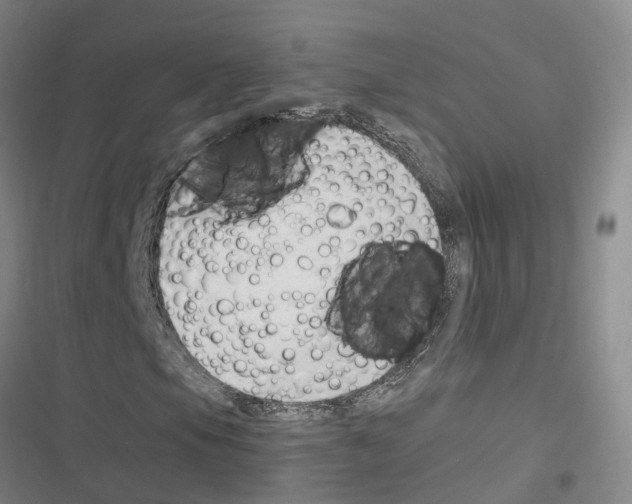 X0000116371105201001131741