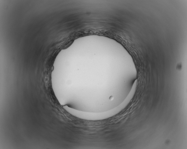 X0000116371109201001131741