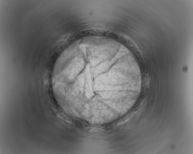 X0000116371110201001131742