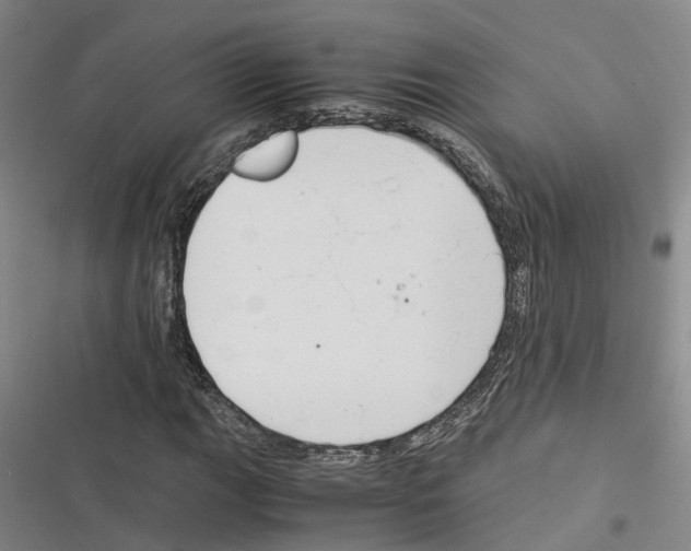 X0000116371111201001131742