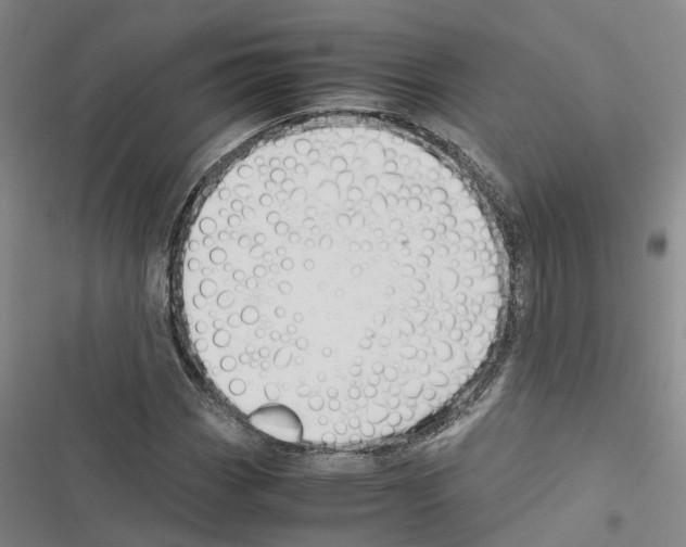 X0000116371113201001131742