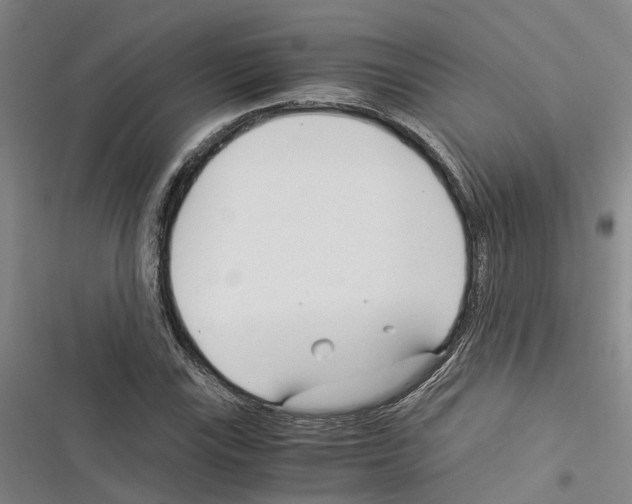 X0000116371115201001131742