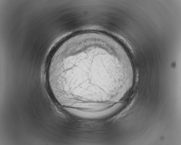 X0000116371117201001131742