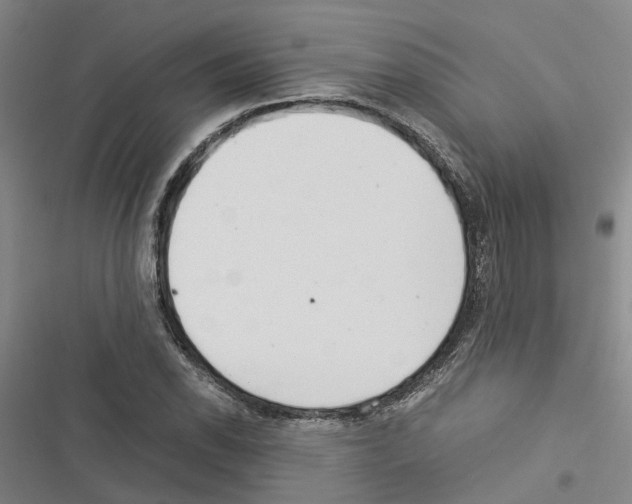 X0000116371118201001131742