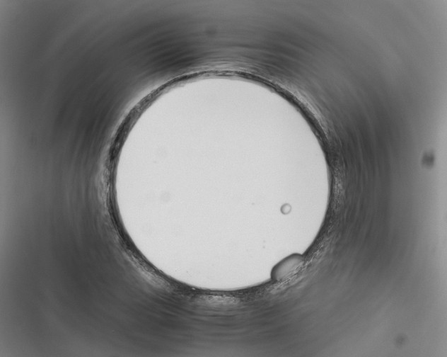 X0000116371119201001131742