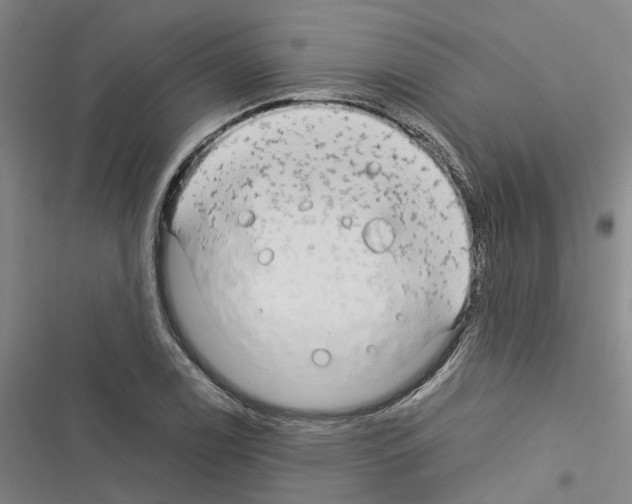 X0000116371122201001131742