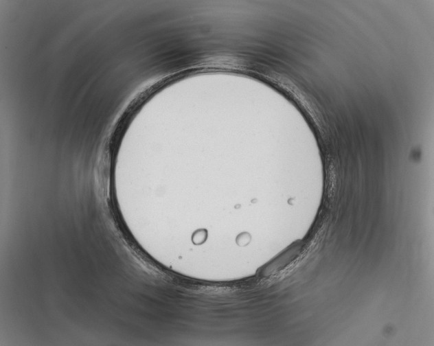 X0000116371123201001131742