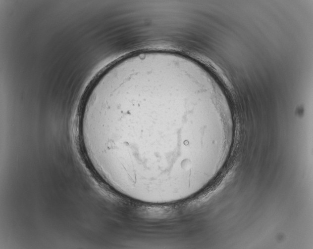 X0000116371125201001131742