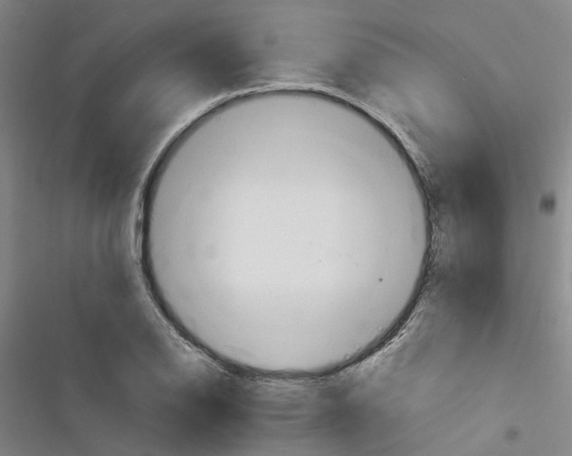 X0000116371126201001131742