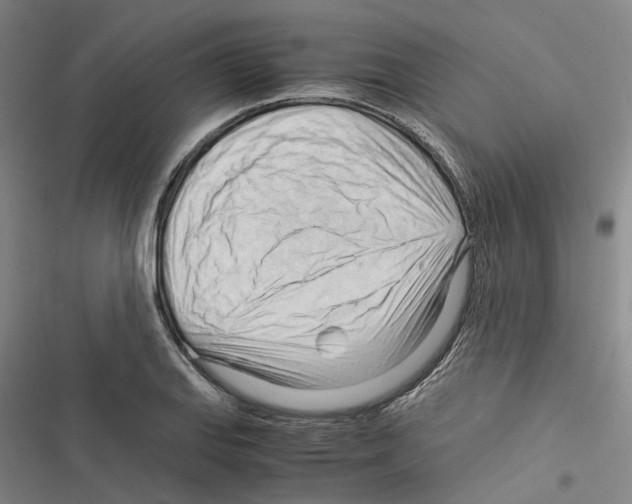 X0000116371127201001131742