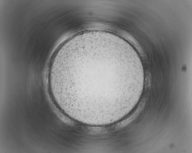 X0000116371130201001131742