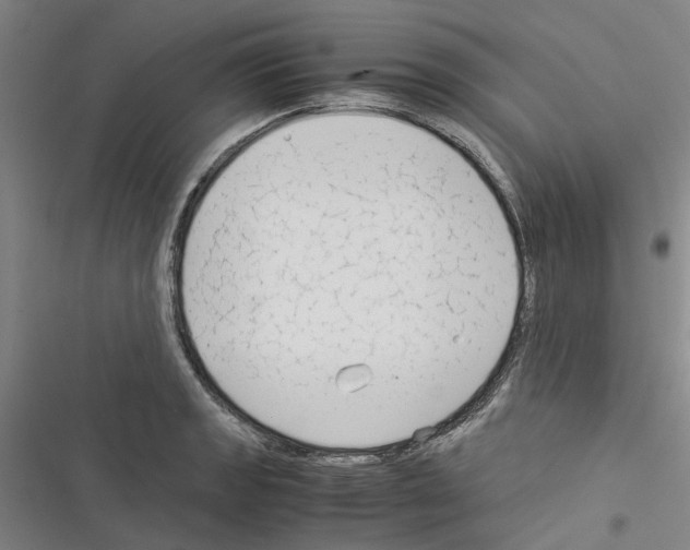 X0000116371133201001131742