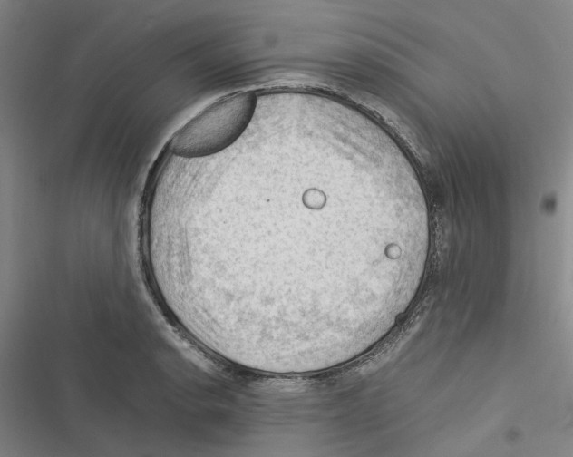 X0000116371134201001131742