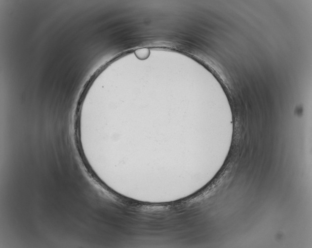 X0000116371135201001131742