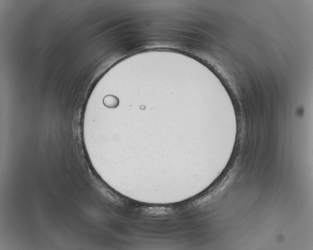 X0000116371137201001131742