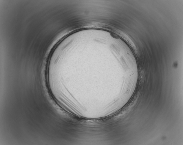 X0000116371138201001131742