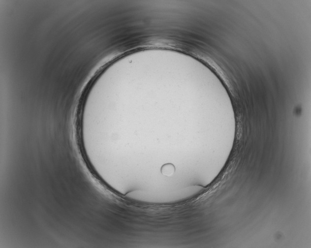 X0000116371139201001131742