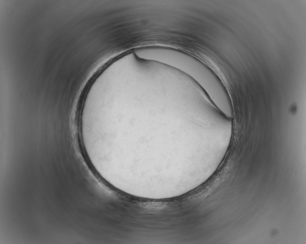 X0000116371141201001131742