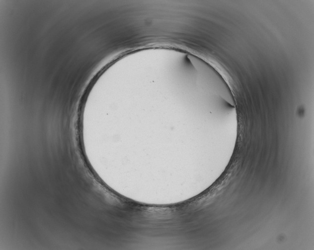 X0000116371142201001131742