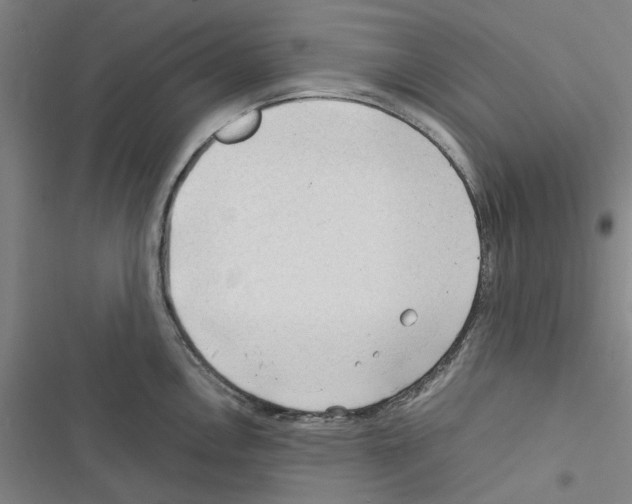 X0000116371146201001131742