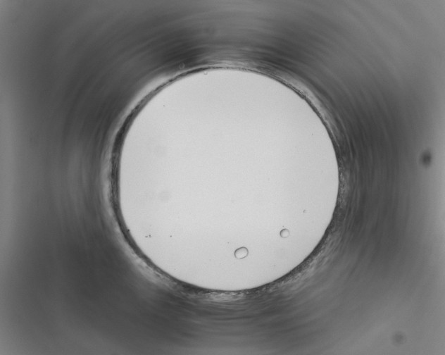 X0000116371147201001131742