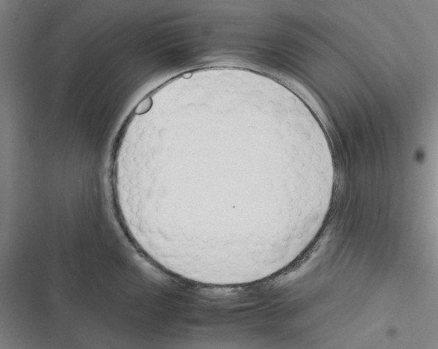 X0000116371149201001131742