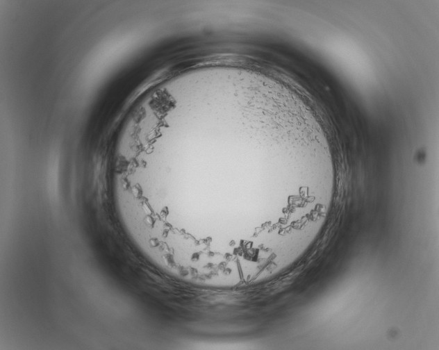 X0000116371150201001131742