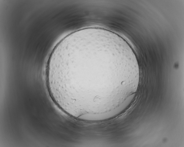 X0000116371151201001131742