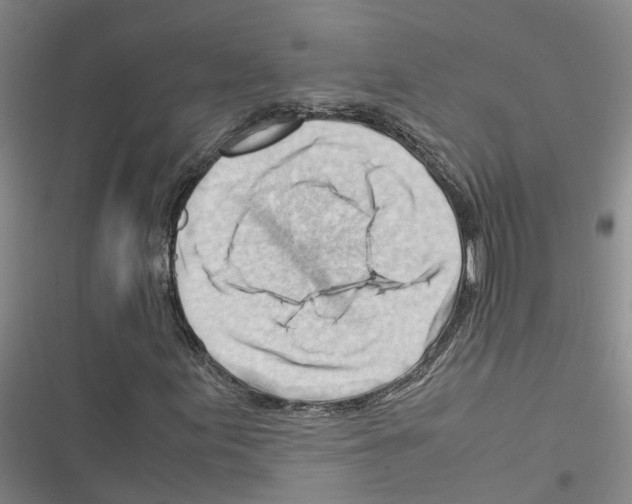 X0000116371155201001131741