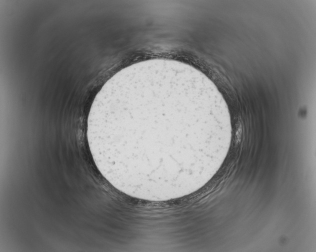 X0000116371156201001131741