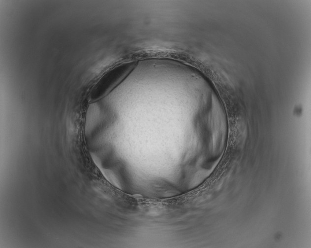 X0000116371157201001131741