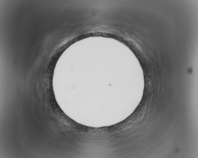 X0000116371159201001131741