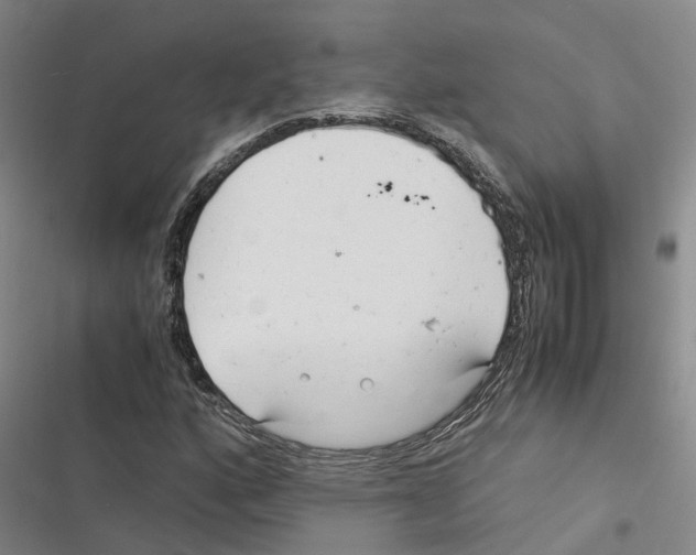 X0000116371160201001131741