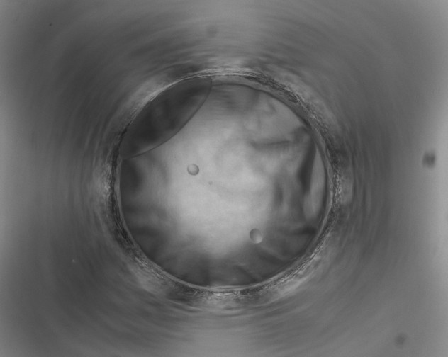 X0000116371161201001131741