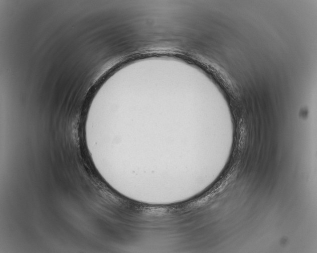 X0000116371162201001131741