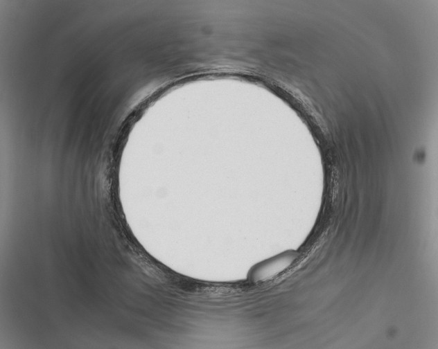 X0000116371163201001131741