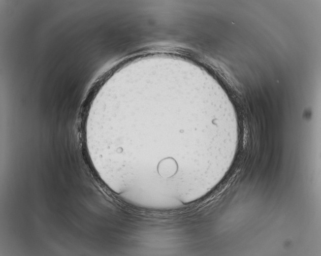 X0000116371164201001131741