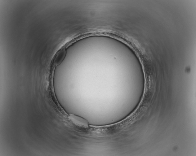 X0000116371165201001131741