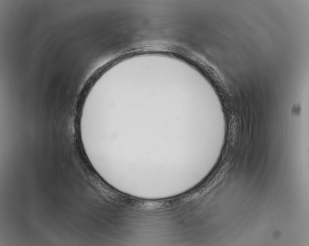 X0000116371166201001131741