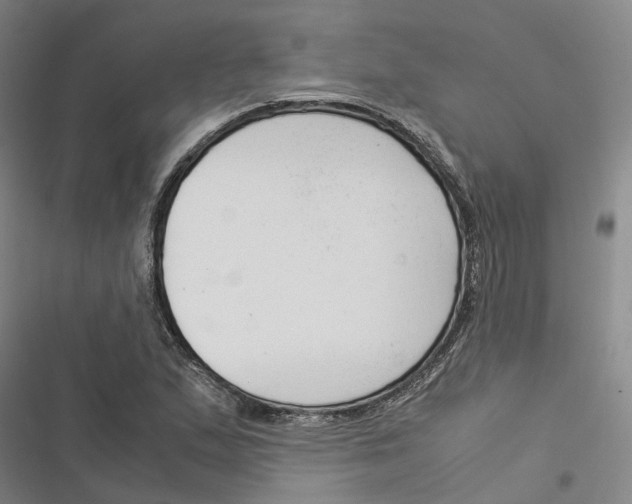 X0000116371167201001131741