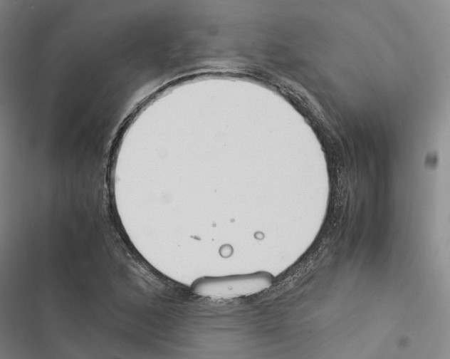 X0000116371168201001131741