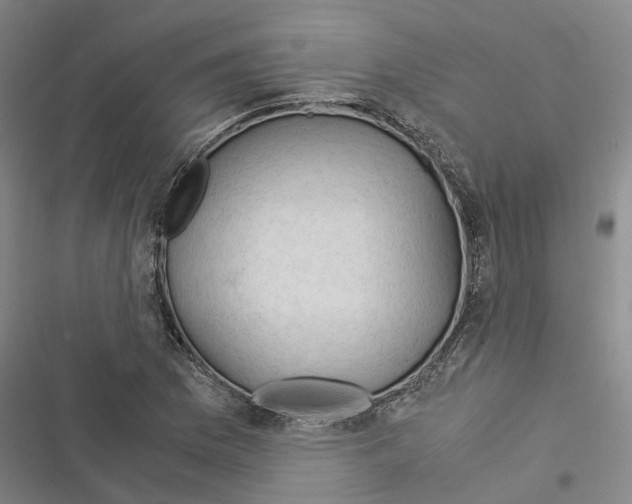 X0000116371169201001131741