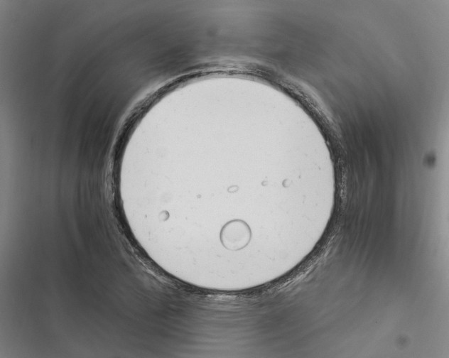 X0000116371172201001131741