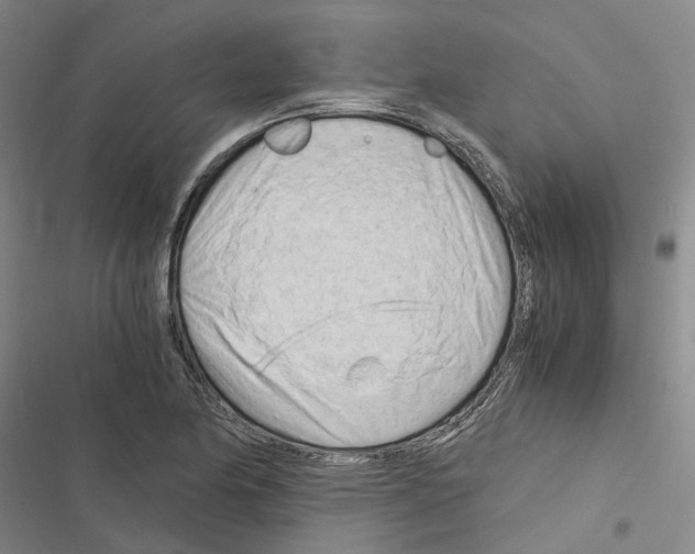 X0000116371174201001131741