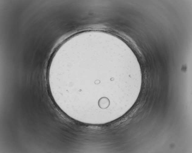 X0000116371176201001131741